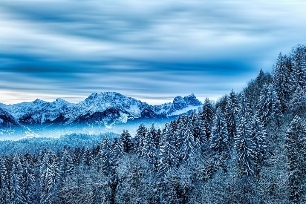 winter, forest, mountain