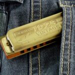 harmonica, blues harp, harp