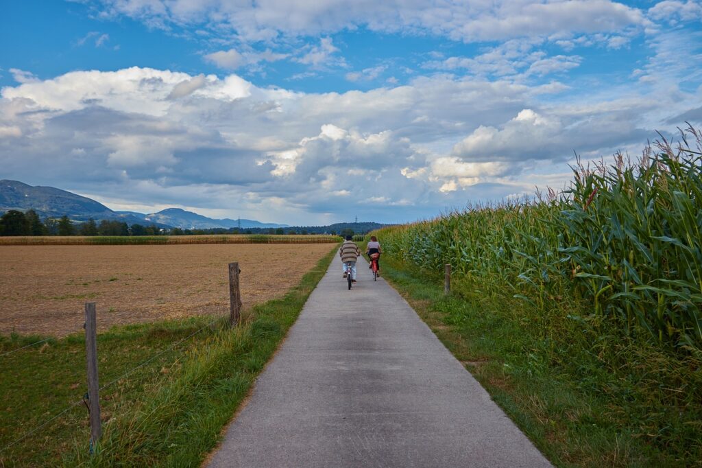 path, velo driver, nature