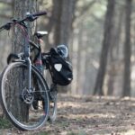 bicycle, tree, forest