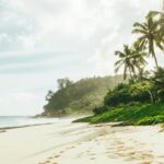 photography of foot tracks on seashore