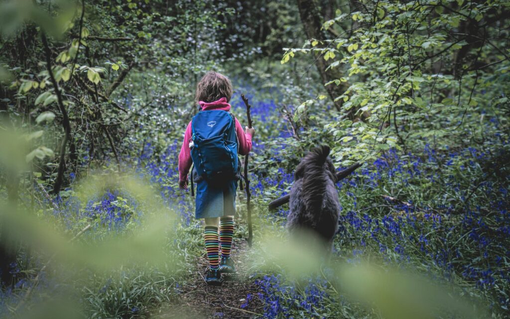 a little girl walking through a forest with a dog