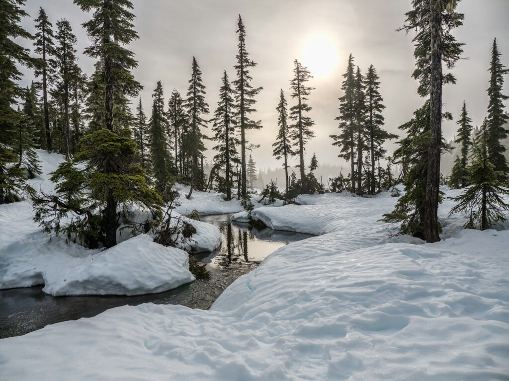 Wandern im Winter