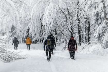 Wandern im Winter