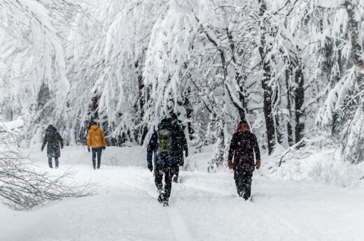 Wandern im Winter