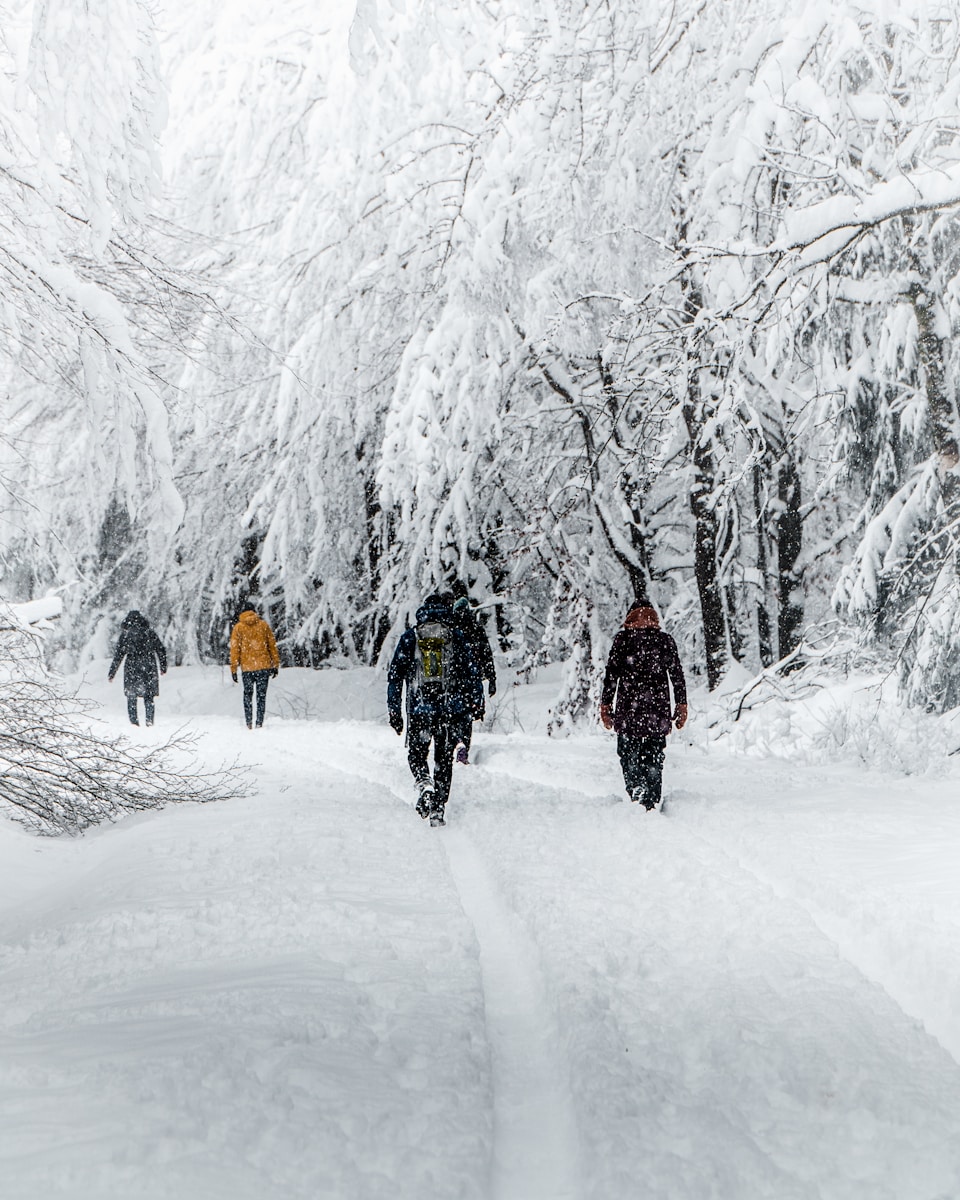 Wandern im Winter